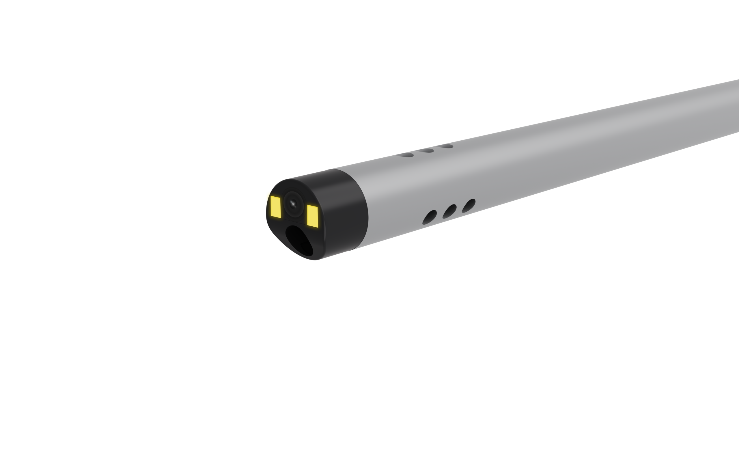 Lumivet Veterinary Rigid Endoscope - Distal Tip